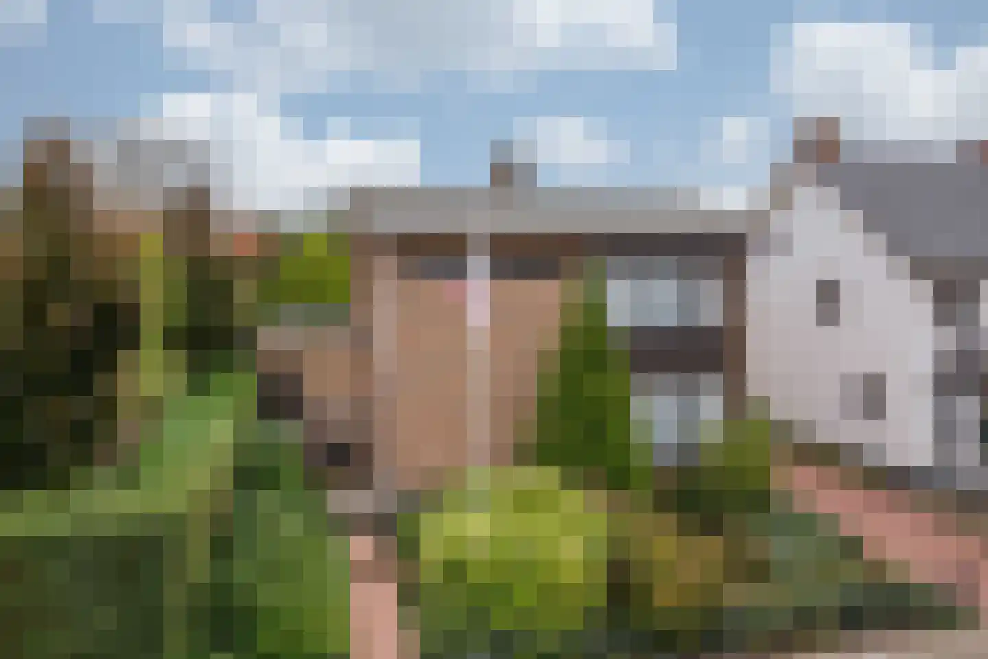 Pastoor Windhausenlaan 18 Steyl thumbnail 6