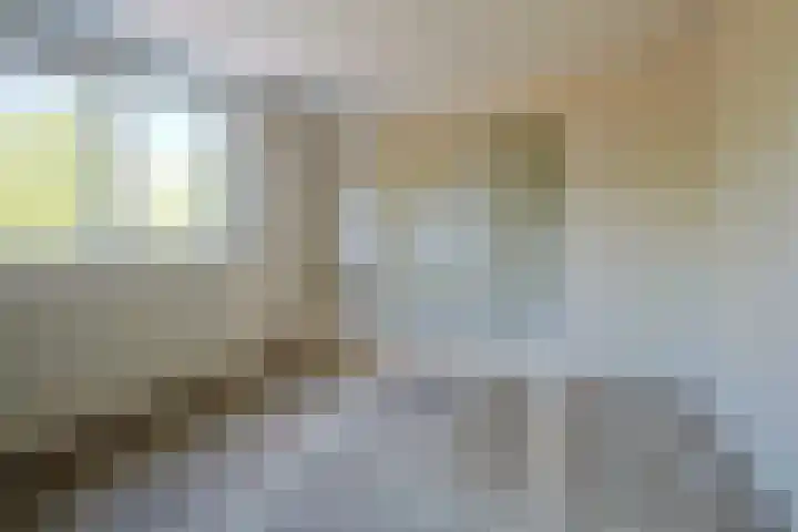 Pastoor Wolfsstraat 24 Guttecoven thumbnail 17