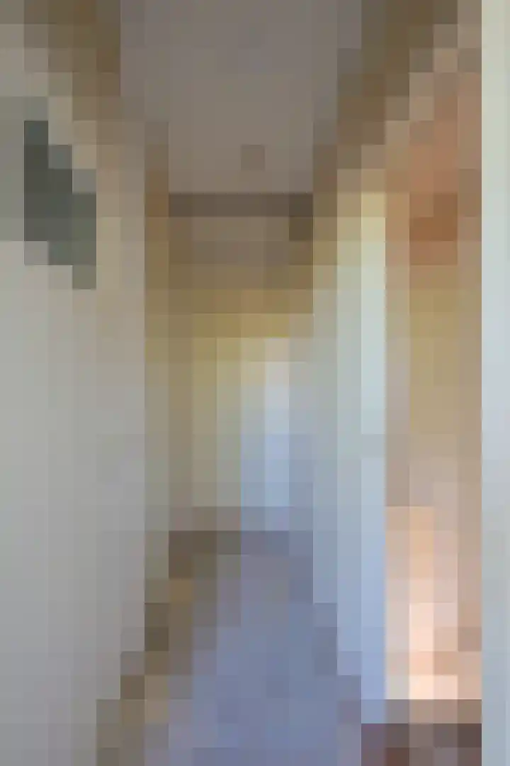Pastoor Wolfsstraat 24 Guttecoven thumbnail 18