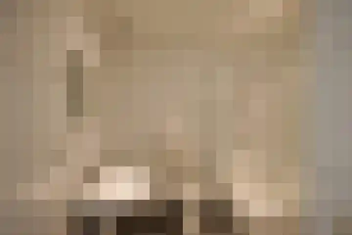 Pastoor Wolfsstraat 24 Guttecoven thumbnail 22