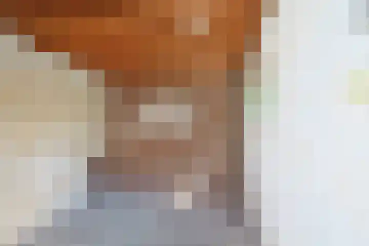 Pastoor Wolfsstraat 24 Guttecoven thumbnail 24