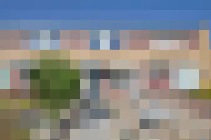 Pastoor Wolfsstraat 24 Guttecoven thumbnail 30