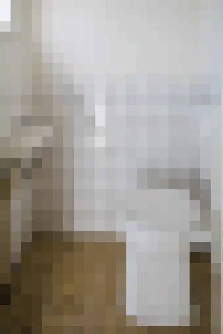 Pastoor Wolfsstraat 24 Guttecoven thumbnail 8