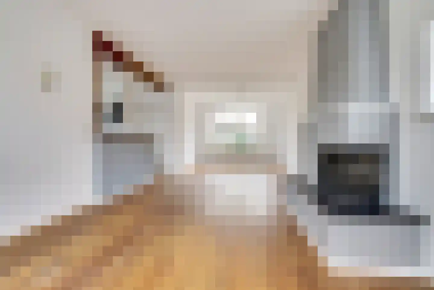 Pastoor Woltersstraat 17 Putte thumbnail 10