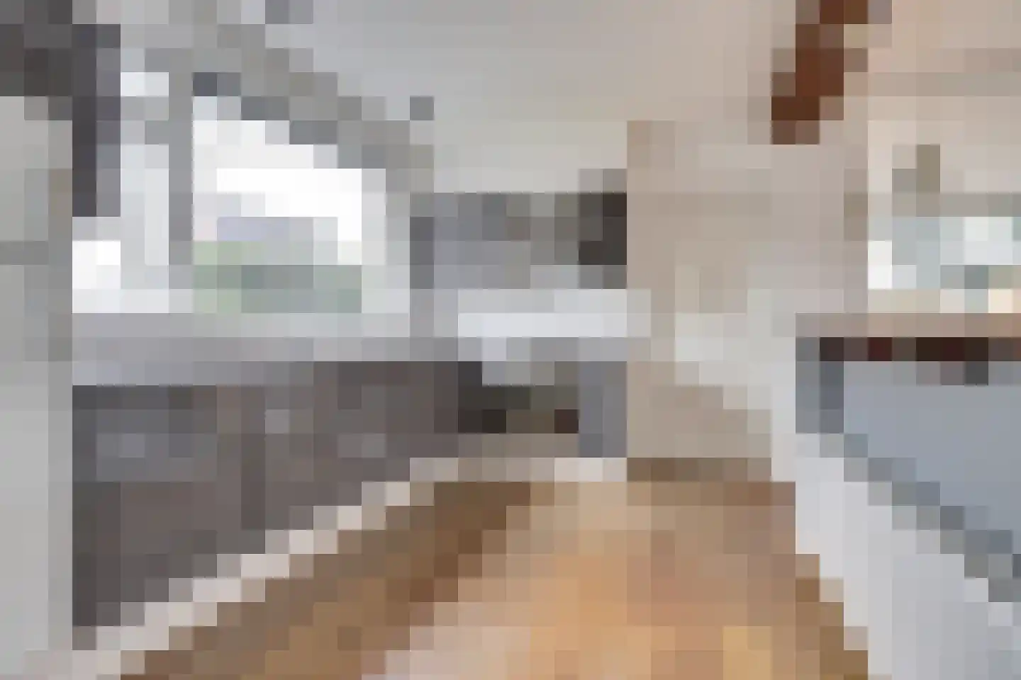 Pastoor Woltersstraat 17 Putte thumbnail 11