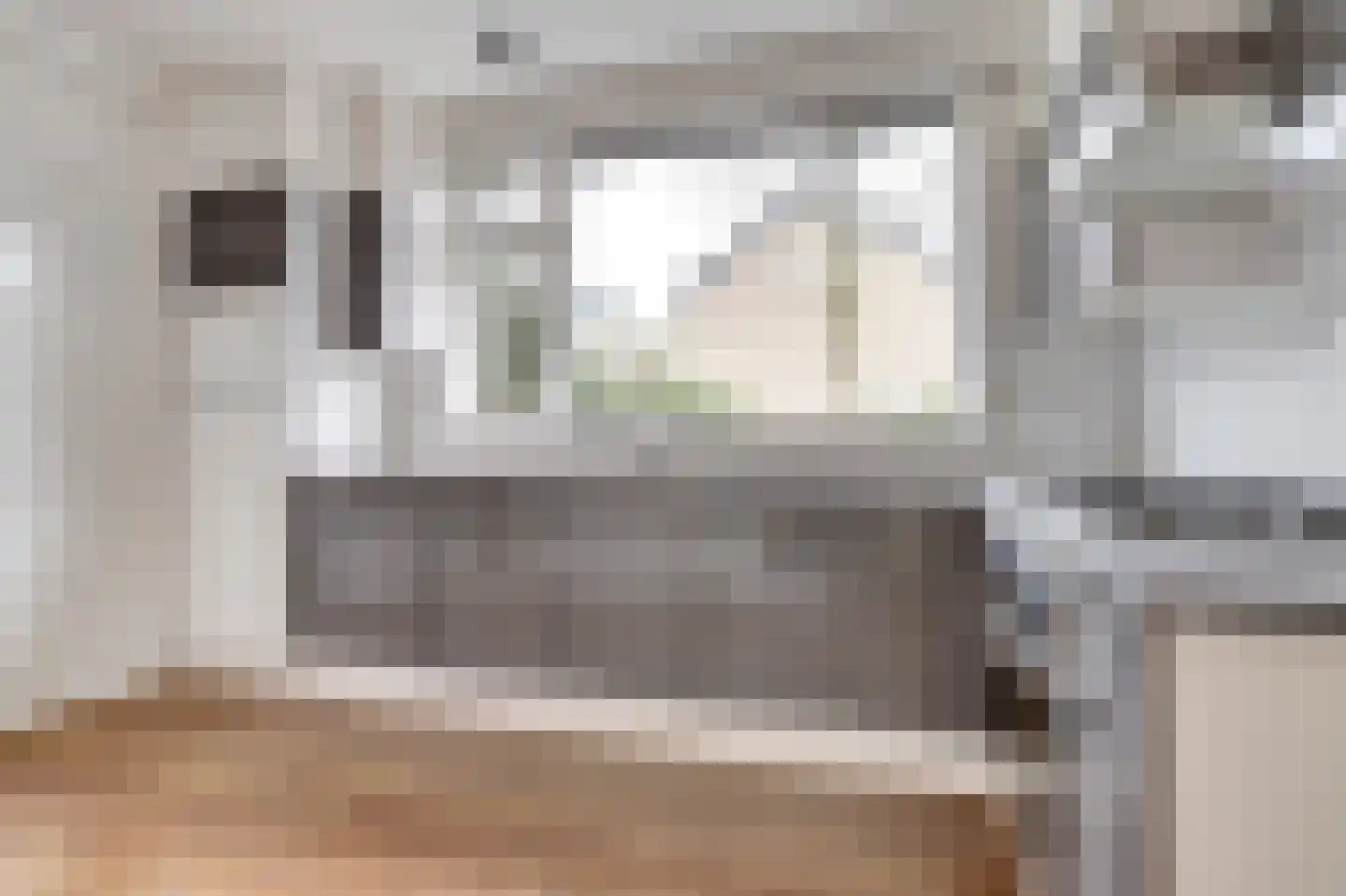 Pastoor Woltersstraat 17 Putte thumbnail 12