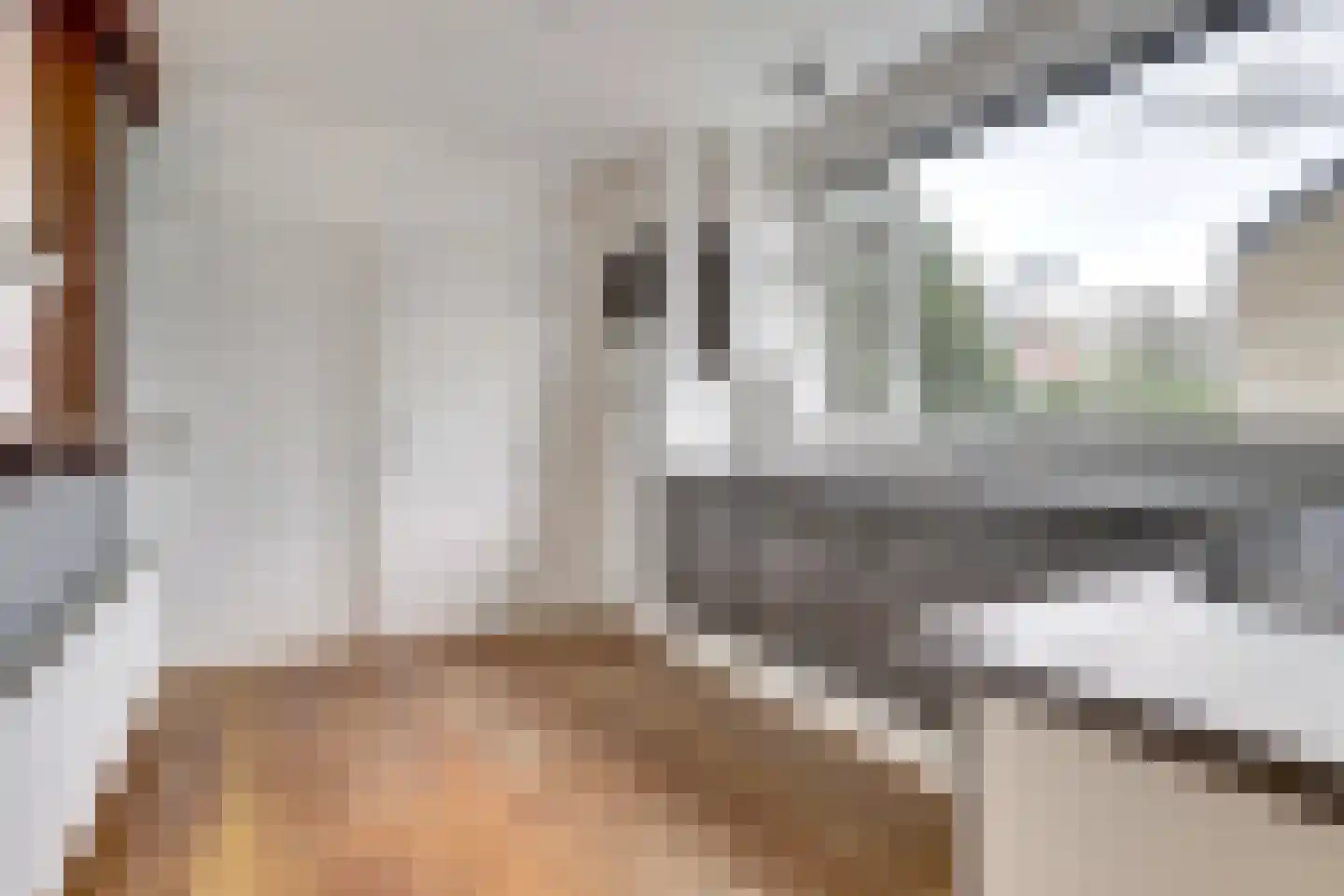 Pastoor Woltersstraat 17 Putte thumbnail 13