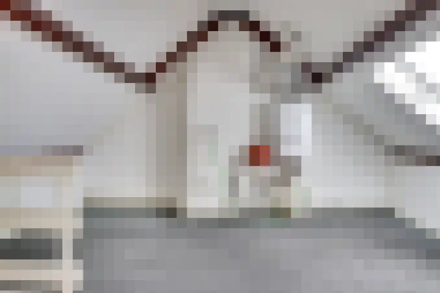 Pastoor Woltersstraat 17 Putte thumbnail 27