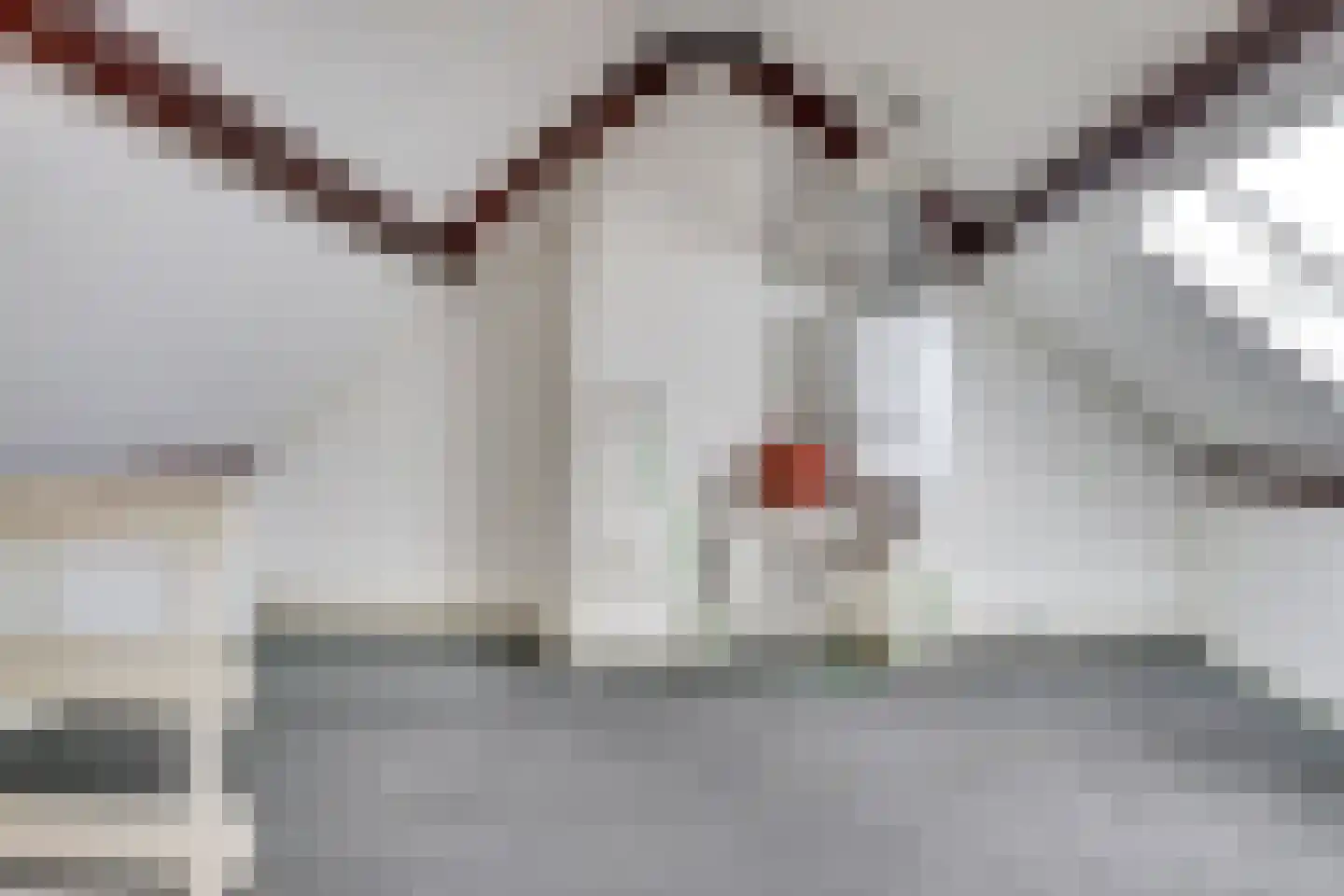 Pastoor Woltersstraat 17 Putte thumbnail 27