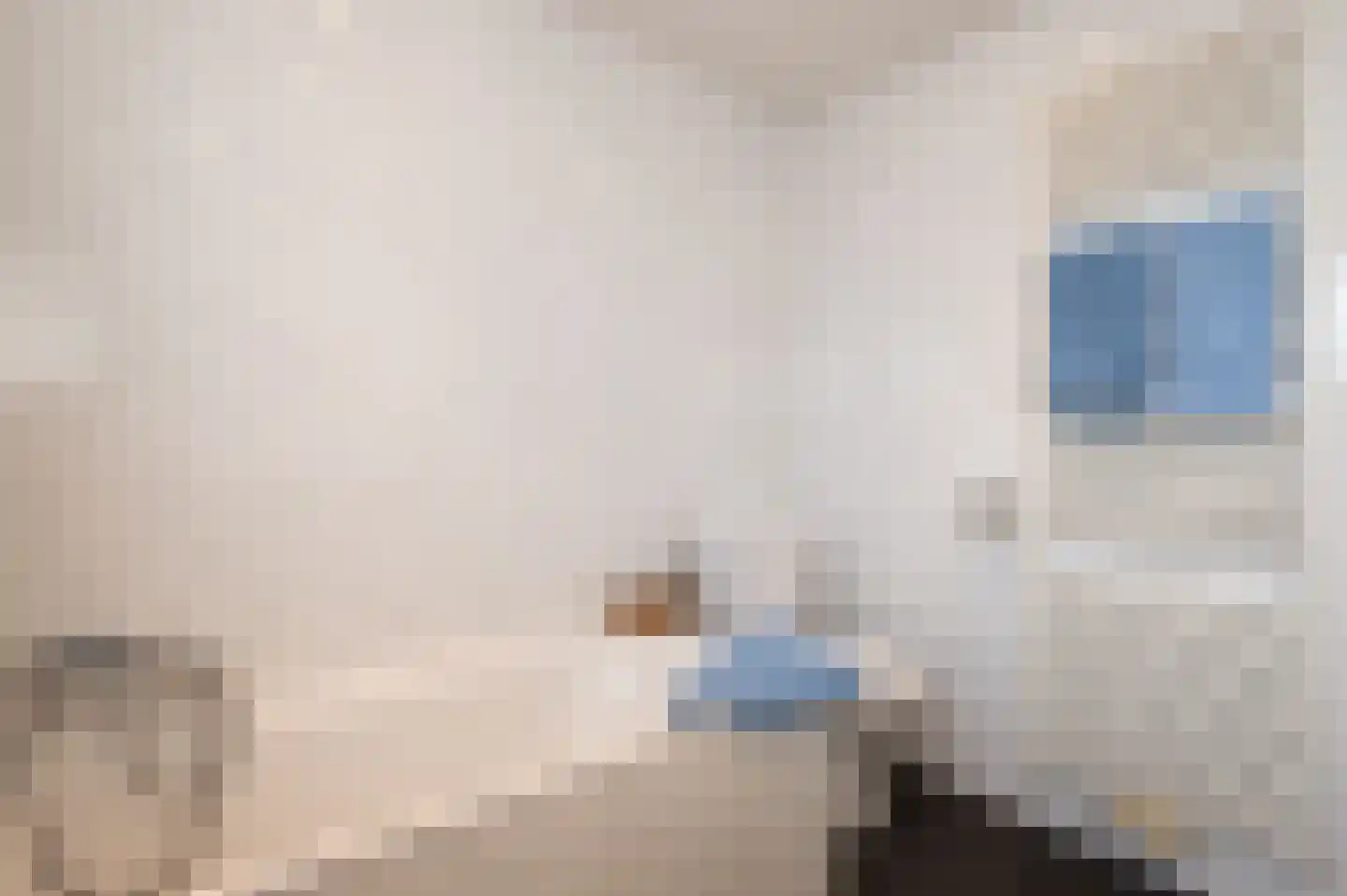 Pastoor Woltersstraat 9 Putte thumbnail 18