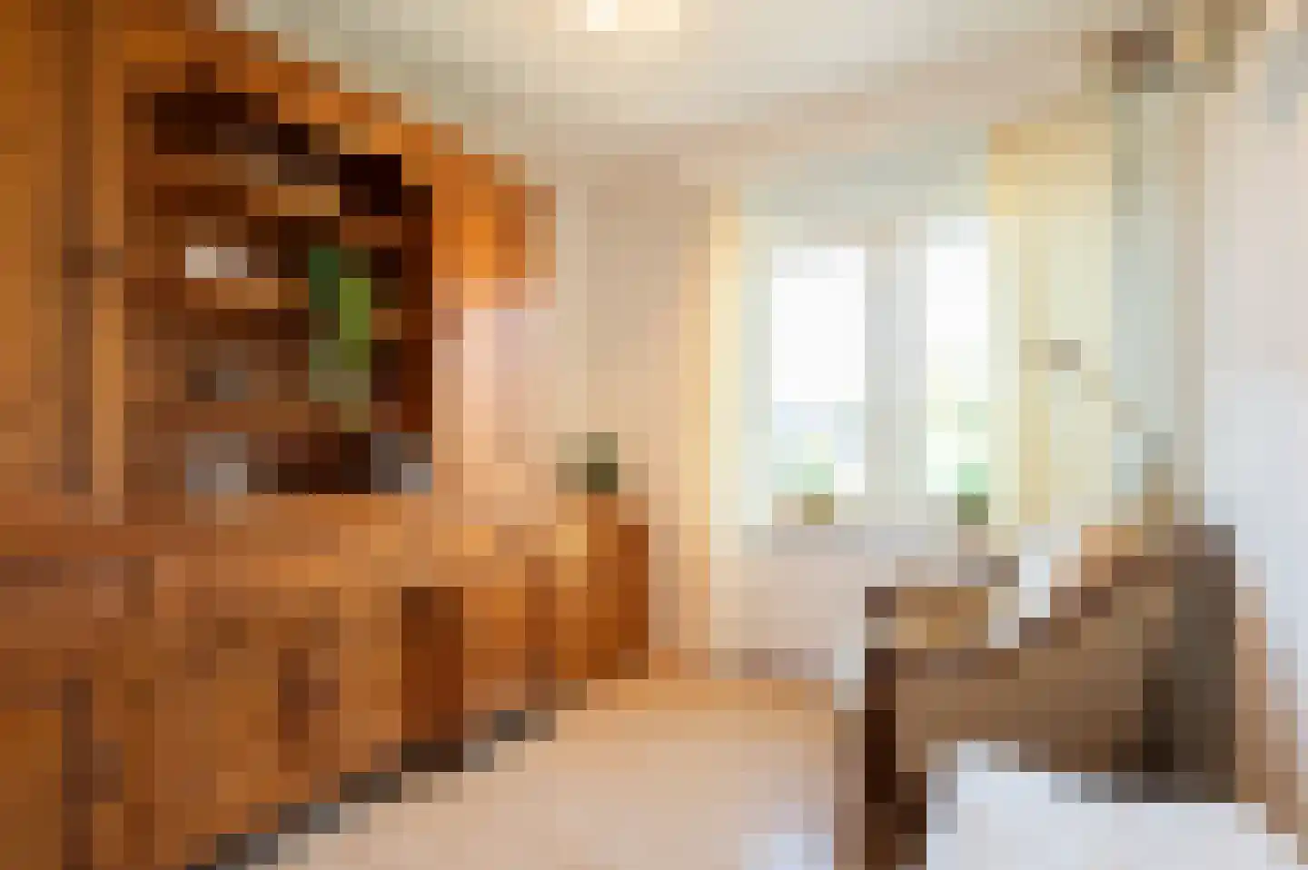 Pastoor Woltersstraat 9 Putte thumbnail 26
