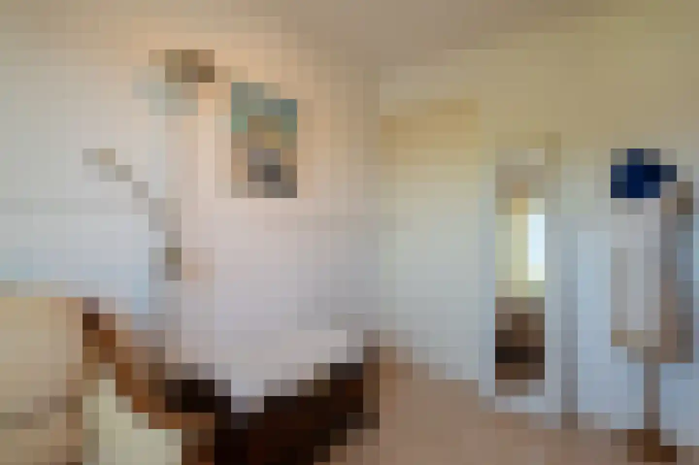 Pastoor Woltersstraat 9 Putte thumbnail 27