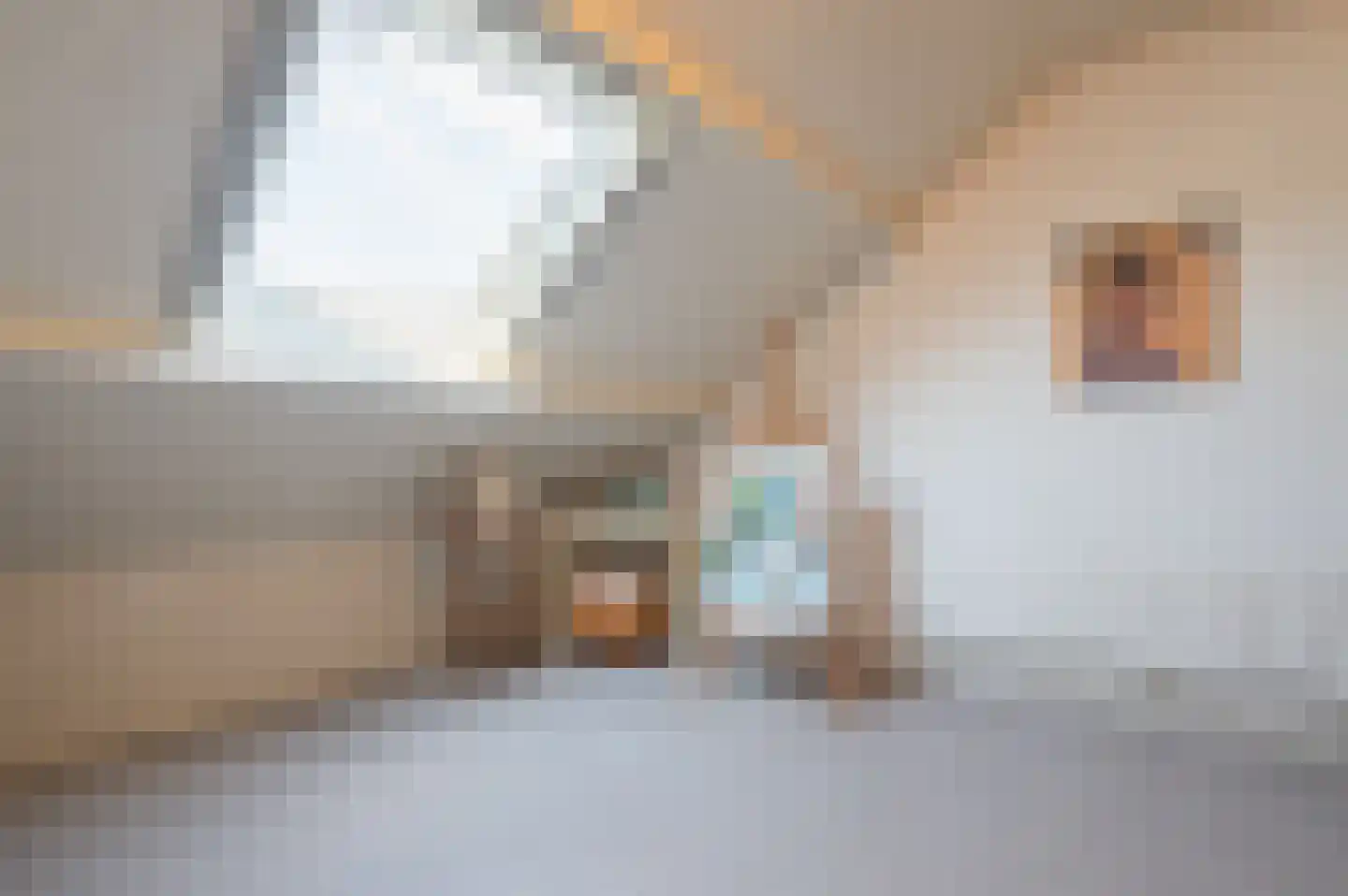 Pastoor Woltersstraat 9 Putte thumbnail 31