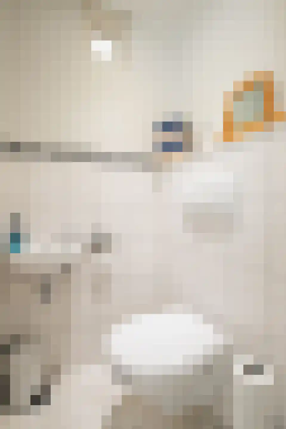 Pastoor Woltersstraat 9 Putte thumbnail 6