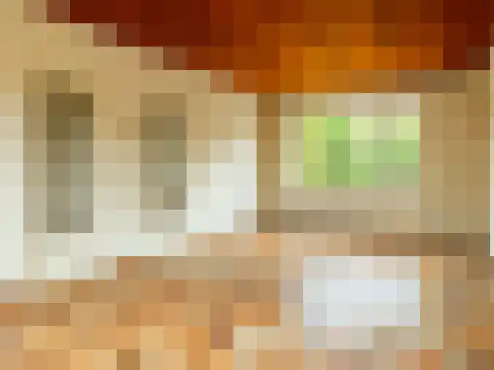 Pastoor Woltersweg 6 Renkum thumbnail 12