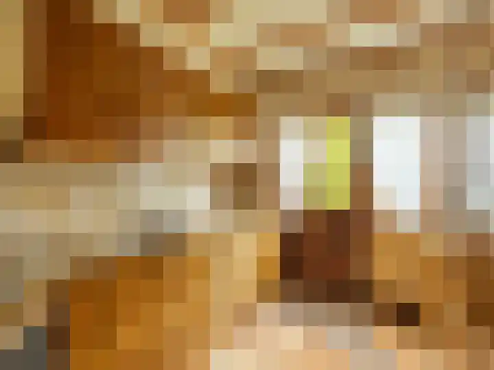 Pastoor Woltersweg 6 Renkum thumbnail 13