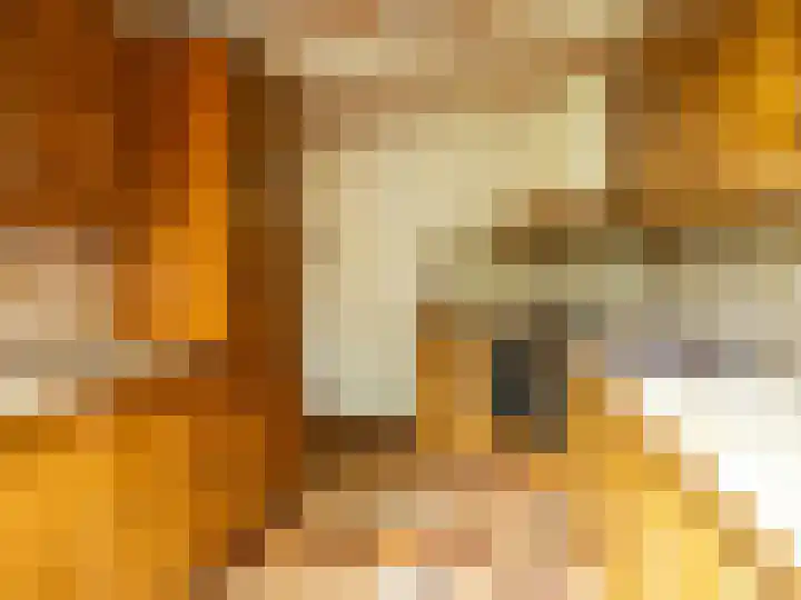 Pastoor Woltersweg 6 Renkum thumbnail 14