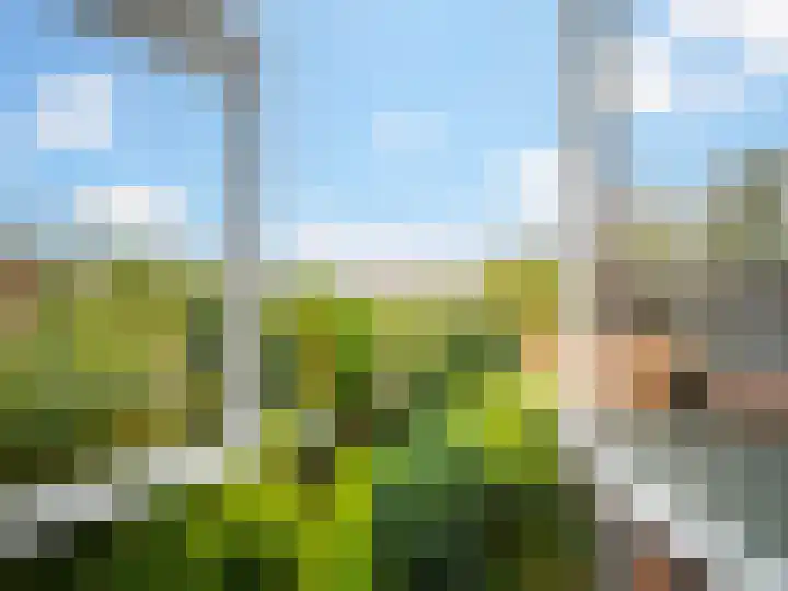 Pastoor Woltersweg 6 Renkum thumbnail 18