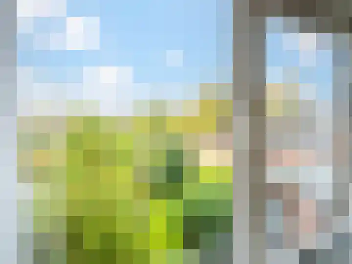 Pastoor Woltersweg 6 Renkum thumbnail 23