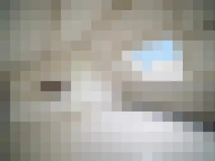 Pastoor Woltersweg 6 Renkum thumbnail 25
