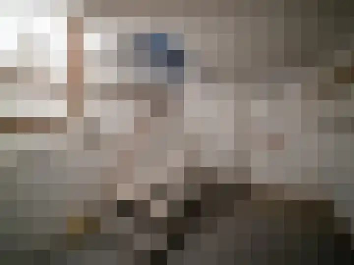 Pastoor Woltersweg 6 Renkum thumbnail 26