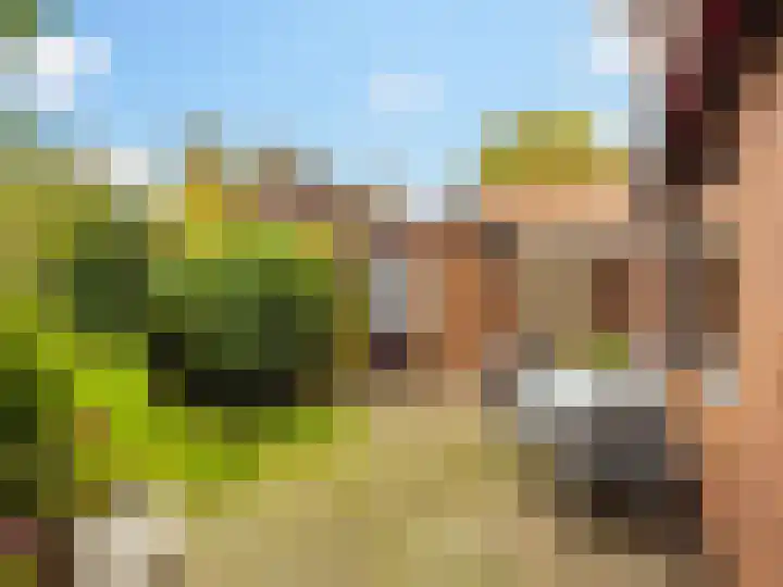 Pastoor Woltersweg 6 Renkum thumbnail 27