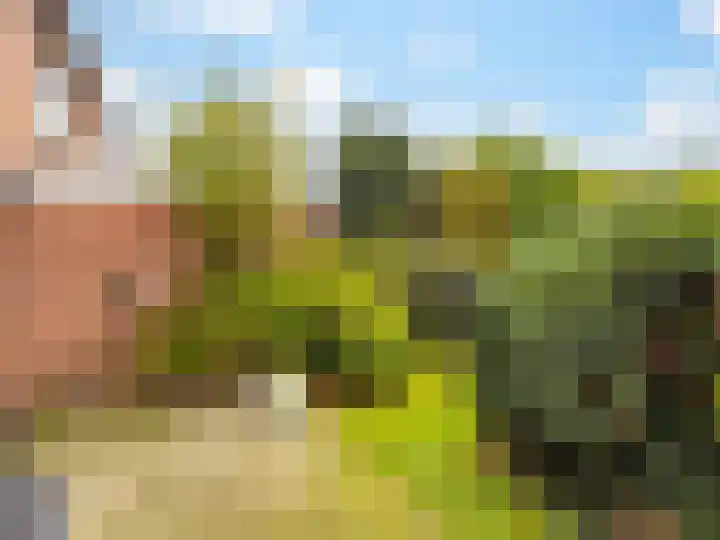 Pastoor Woltersweg 6 Renkum thumbnail 28