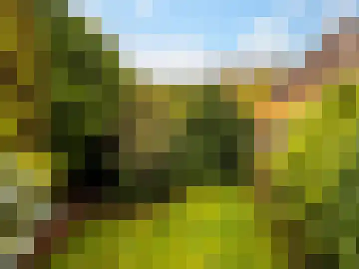 Pastoor Woltersweg 6 Renkum thumbnail 29