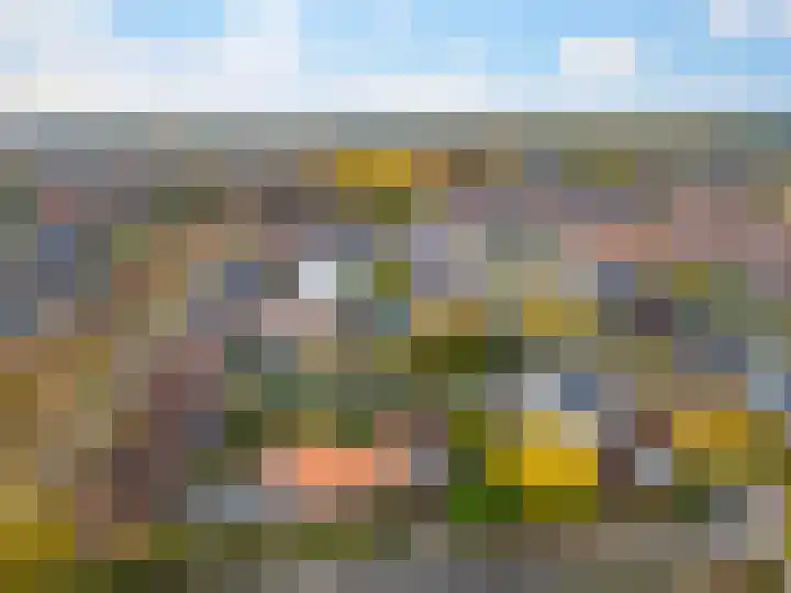 Pastoor Woltersweg 6 Renkum thumbnail 32