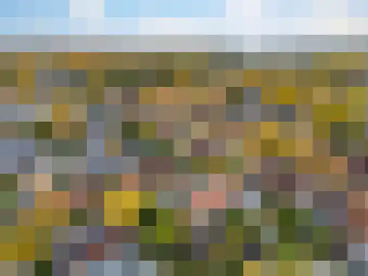 Pastoor Woltersweg 6 Renkum thumbnail 33