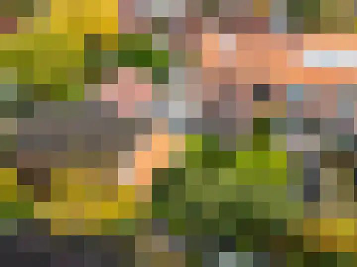 Pastoor Woltersweg 6 Renkum thumbnail 34