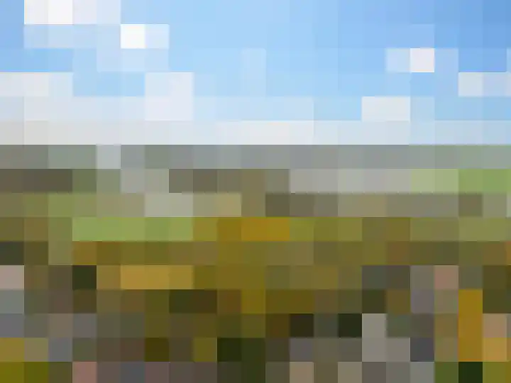 Pastoor Woltersweg 6 Renkum thumbnail 35