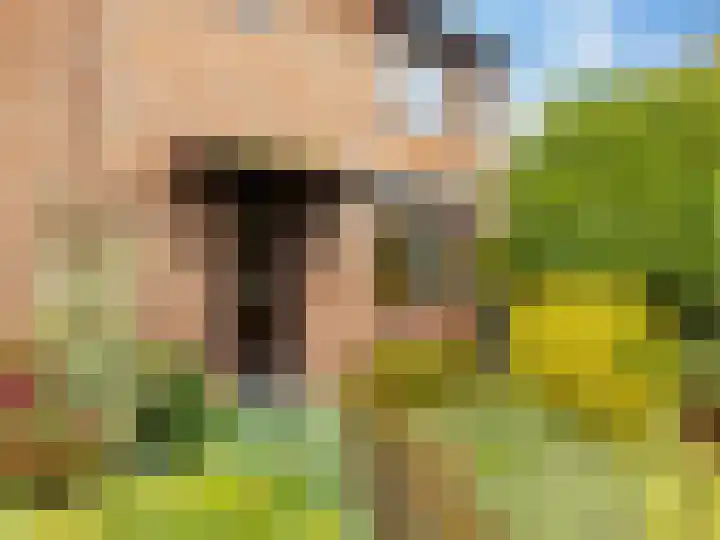 Pastoor Woltersweg 6 Renkum thumbnail 4