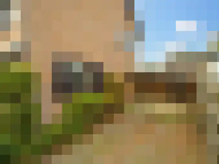 Pastoor Woltersweg 6 Renkum thumbnail 5