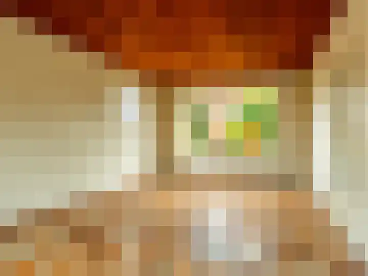 Pastoor Woltersweg 6 Renkum thumbnail 9