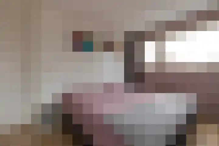 Pastoor Zanderinkstraat 2 a Zieuwent thumbnail 16