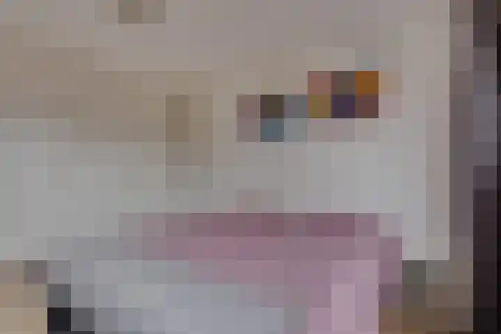 Pastoor Zanderinkstraat 2 a Zieuwent thumbnail 17