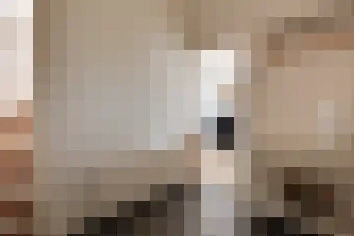 Pastoor Zanderinkstraat 2 a Zieuwent thumbnail 20