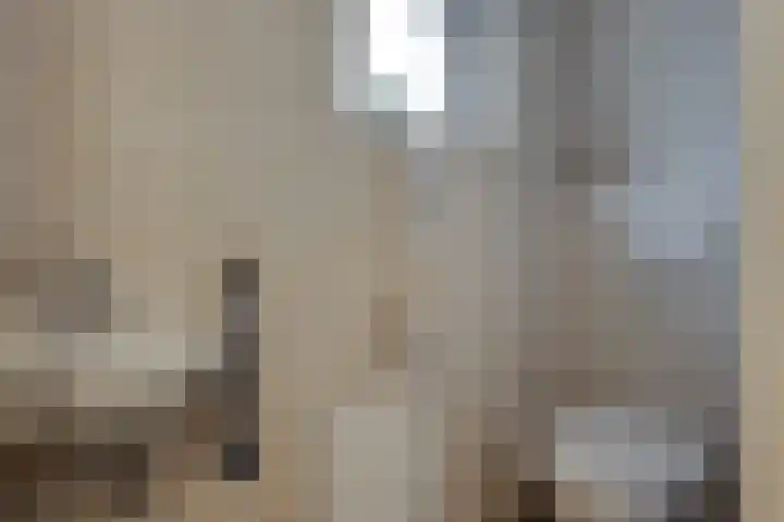 Pastoor Zanderinkstraat 2 a Zieuwent thumbnail 22