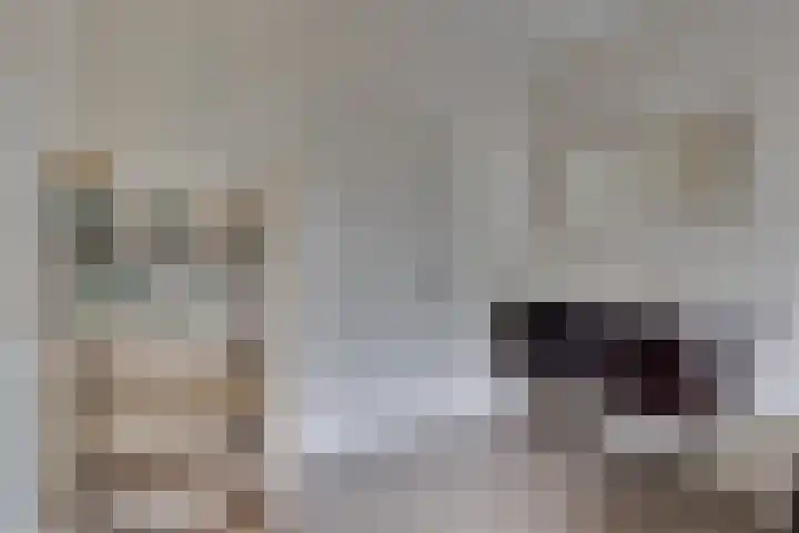 Pastoor Zanderinkstraat 2 a Zieuwent thumbnail 24