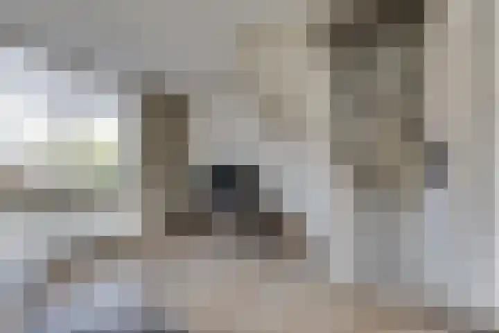 Pastoor Zanderinkstraat 34 Zieuwent thumbnail 20