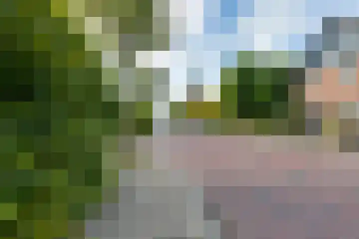 Pastoor Zanderinkstraat 34 Zieuwent thumbnail 38