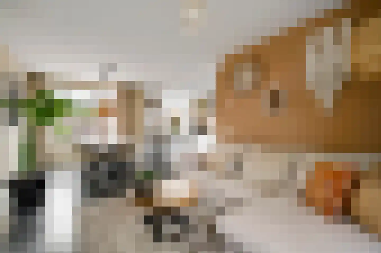 Pastoor Zandersstraat 18 Swalmen thumbnail 5