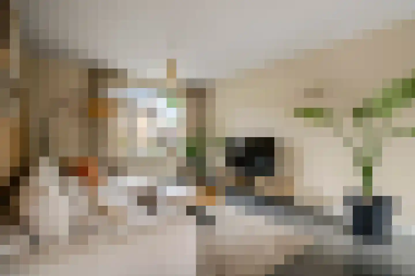 Pastoor Zandersstraat 18 Swalmen thumbnail 7