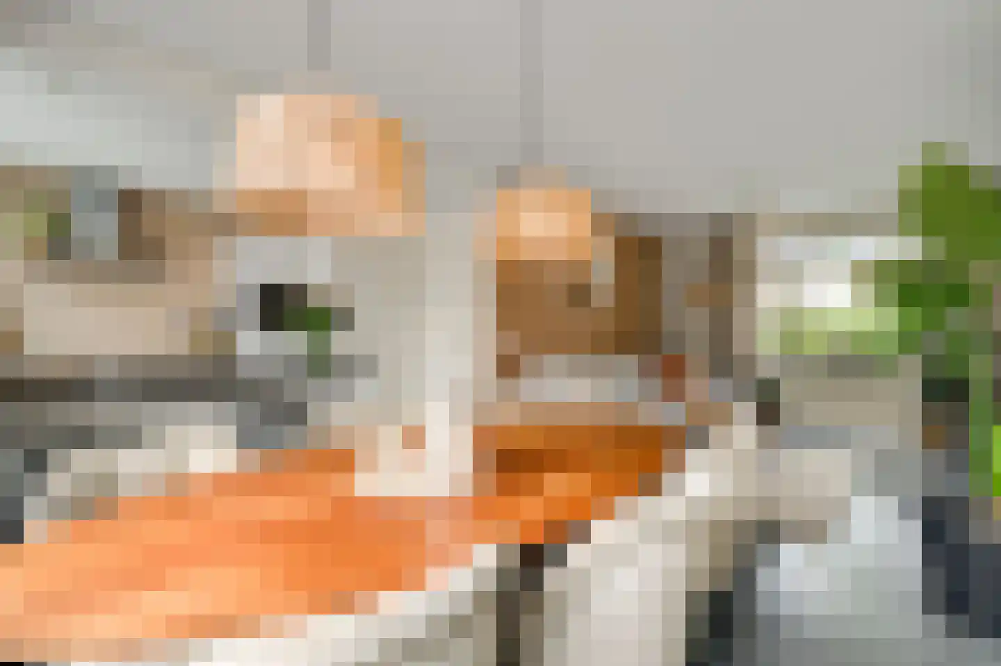 Pastoor Zandersstraat 18 Swalmen thumbnail 8