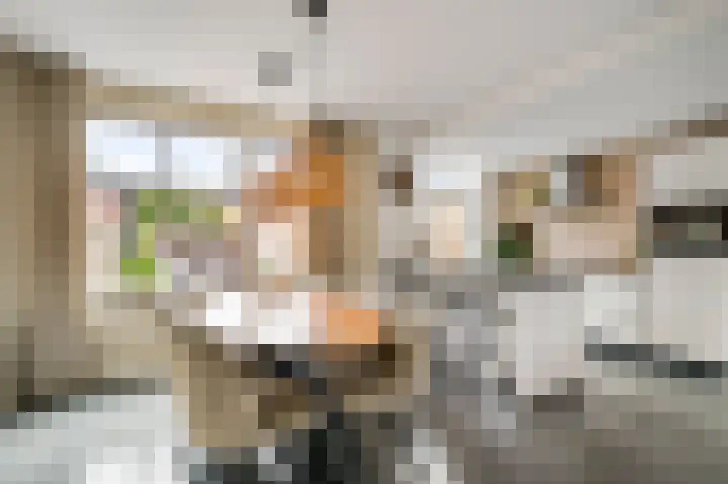 Pastoor Zandersstraat 18 Swalmen thumbnail 9
