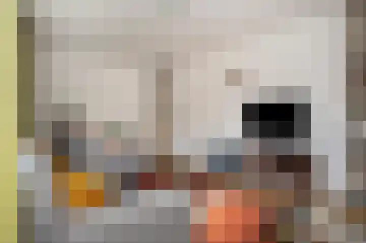 Pastoor Zitzenlaan 10 Obbicht thumbnail 13