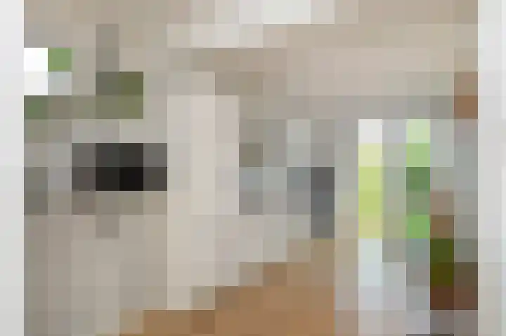 Pastoor Zitzenlaan 10 Obbicht thumbnail 18