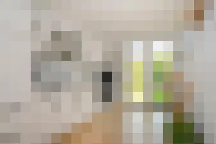 Pastoor Zitzenlaan 10 Obbicht thumbnail 19