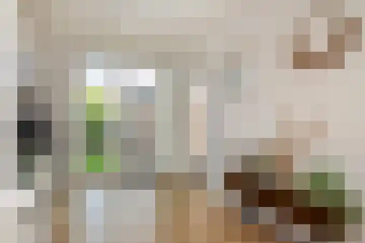 Pastoor Zitzenlaan 10 Obbicht thumbnail 20